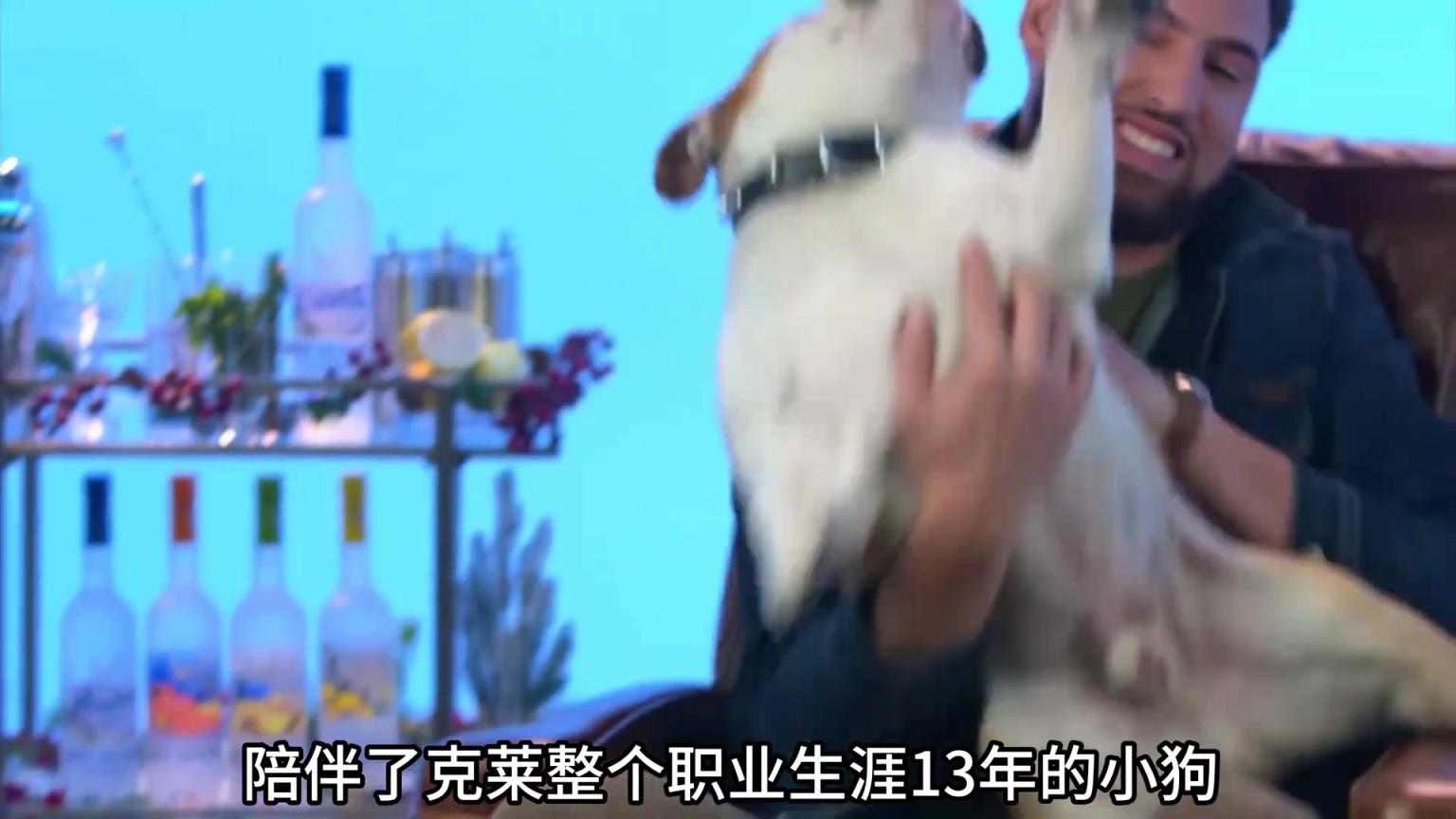 陪伴克萊13年的小狗去世了，不敢相信克萊得多么傷心